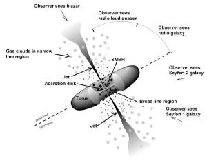 In the doughnut model, black holes are obscured or unobscured based upon their orientation.