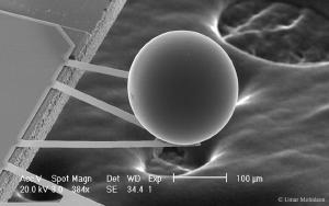 Measuring the Casimir Effect.