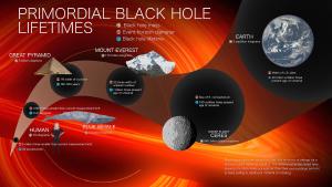 Infographic describing the best current theory on the evolution of PBHs.