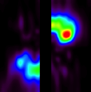 An extrapolated top-down view of CO around Beta Pictoris.