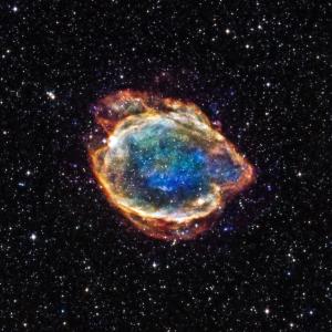 Remnant of the Type Ia supernova G299.