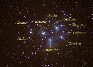 The Pleiades with stars indicated.
