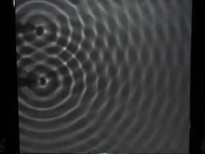 Water waves are similar to light waves.
