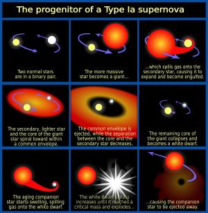 How type Ia supernova likely occur.
