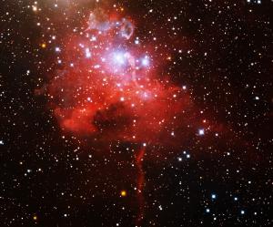 A cluster of newly-forming stars whose intense light energizes the surrounding gas clouds like a neon sign.