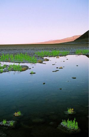 How Earth may have appeared during the Ordovician.