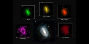 Galaxy images from the GAMA survey.