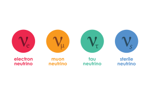 Could sterile neutrinos be a fourth kind of neutrino?