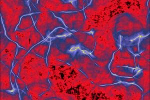 New simulations show string-like vortices in the early universe.