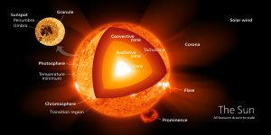 The interior structure of our Sun.