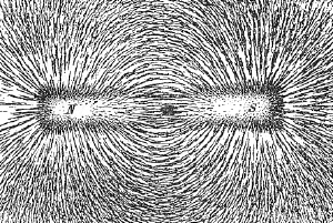 A magnetic field revealed by iron filings near a magnet.