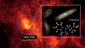 Tryptophan found in the nebula IC348.