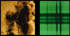 An atomic spectral line split into three by a sunspot's magnetic field.