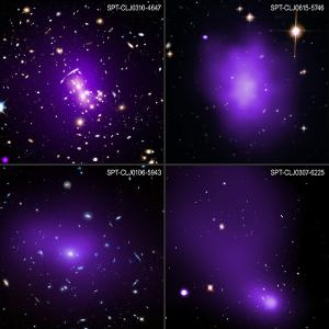 A sample of galaxy clusters, with X-ray light seen in purple.