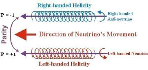 The helicity of neutrinos and anti-neutrinos.