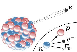 Schematic of beta decay for neutrons and nuclei.