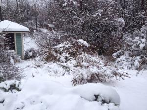 Snow is lovely when you don't have to drive in it.