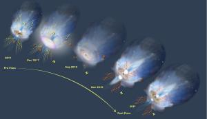 How a black hole might undergo magnetic reversal.