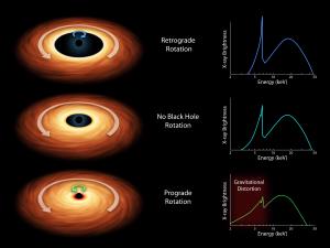 How x-rays from a black hole tell us its spin.