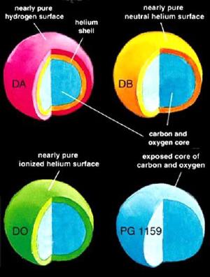 Types of white dwarfs.