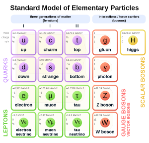 Particles and interaction bosons of the standard model.