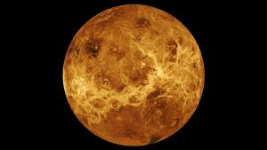 A composite image of the surface of Venus taken by NASA's Magellan spacecraft and Pioneer Venus Orbiter.