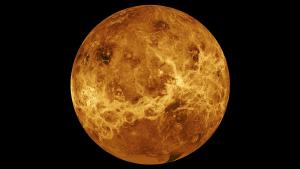 A composite image of the surface of Venus taken by NASA's Magellan spacecraft and Pioneer Venus Orbiter.