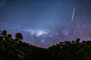 Starlink trails and a meteor as seen from Brazil.