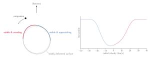 How the distorted shape of V723 Mon affects its light curve.