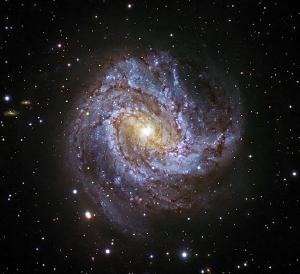The galaxy M83.