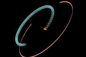 The orbital motions of HD 74438.