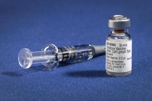 The first smallpox vaccine.