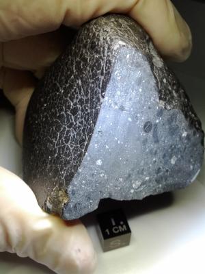 The Martian meteorite NWA 7034, nicknamed Black Beauty.