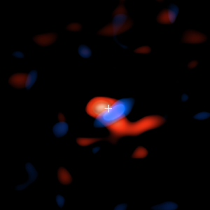 ALMA image of the disk of cool hydrogen gas.