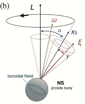 The precession of the magnetar due to its oblate shape.