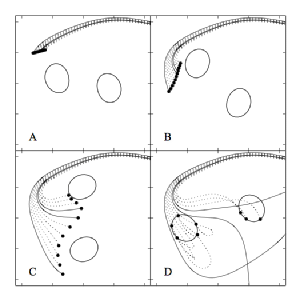 Ray tracing light near a binary black hole.