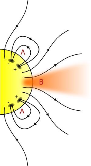 Magnetic field lines for a coronal hole.