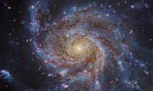 The beautiful Pinwheel Galaxy.