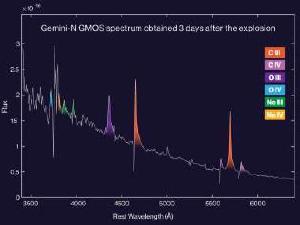 A spectra from SN 2019hgp.