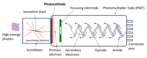 Diagram of a photomultiplier tube.