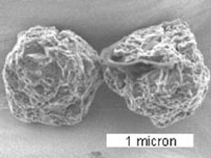 Pair of presolar grains from the Murchison meteorite.