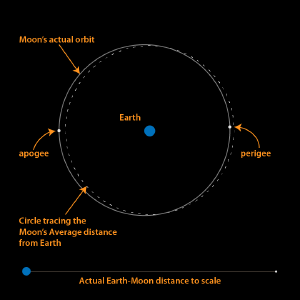 The orbit of the Moon.