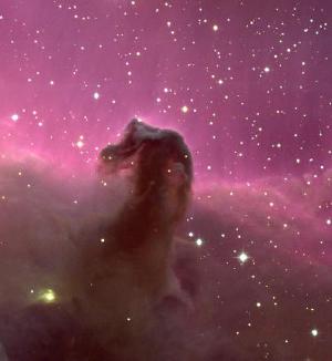 The Horsehead Nebula.