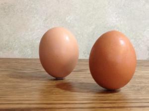 Balancing eggs.