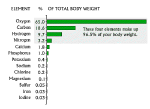 The abundance of elements in the human body.