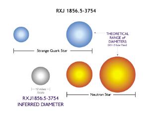 Size Comparison of RX J1856 to Neutron and Quark Stars.