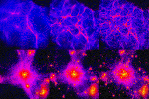 Computer simulations of hot, warm and cold dark matter.