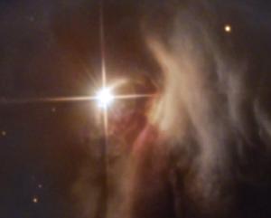 The star T Tauri.